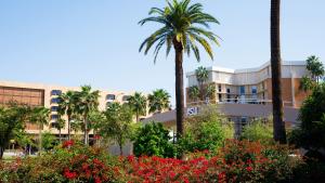 ASU Tempe Bridge