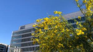 ASU Wexford
